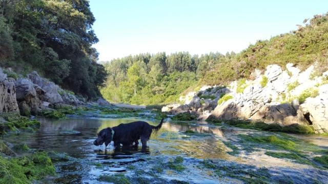 Apartamento Rural Lago Ercina Apartman Onís Kültér fotó